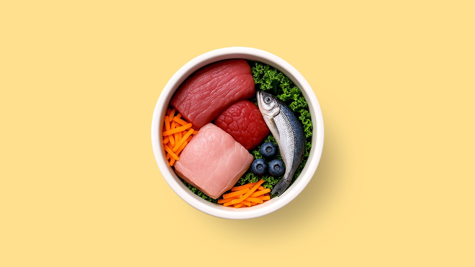 A bowl of fresh raw dog food with meat, fish, vegetables and blueberries