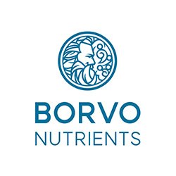 Borvo logo