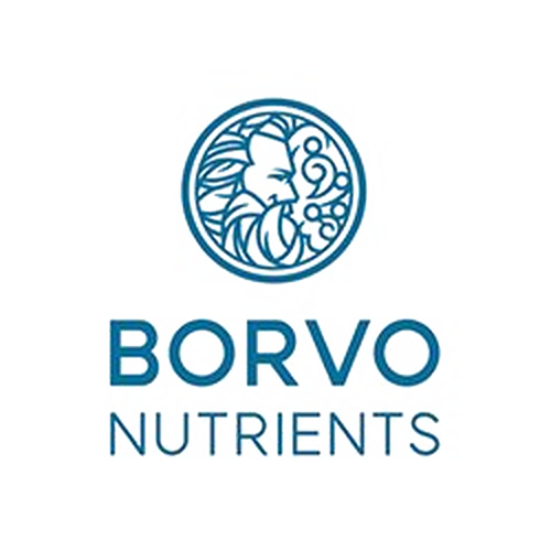 Borvo